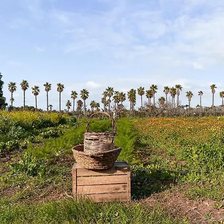 住宿加早餐酒店 Galeta Masseria Nardò
