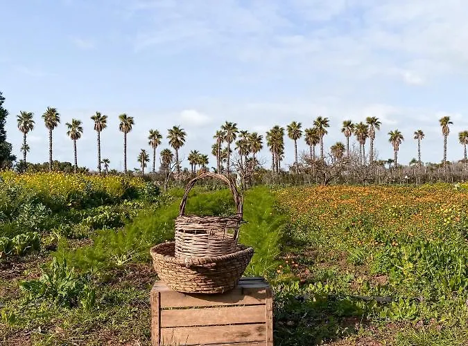 Bed & Breakfast Galeta Masseria Nardo